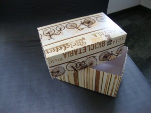 ate-onde-deu-pra-ir-de-bicicleta-caixa-presente-03