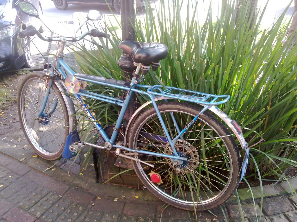 ate-onde-deu-pra-ir-de-bicicleta-azul-paraty-rj-02