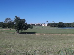UFRuralRJ