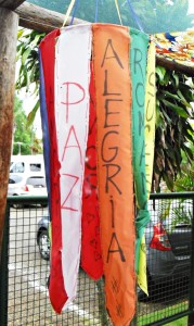 ' Paz e Alegria':' será que precisamos de algo mais?