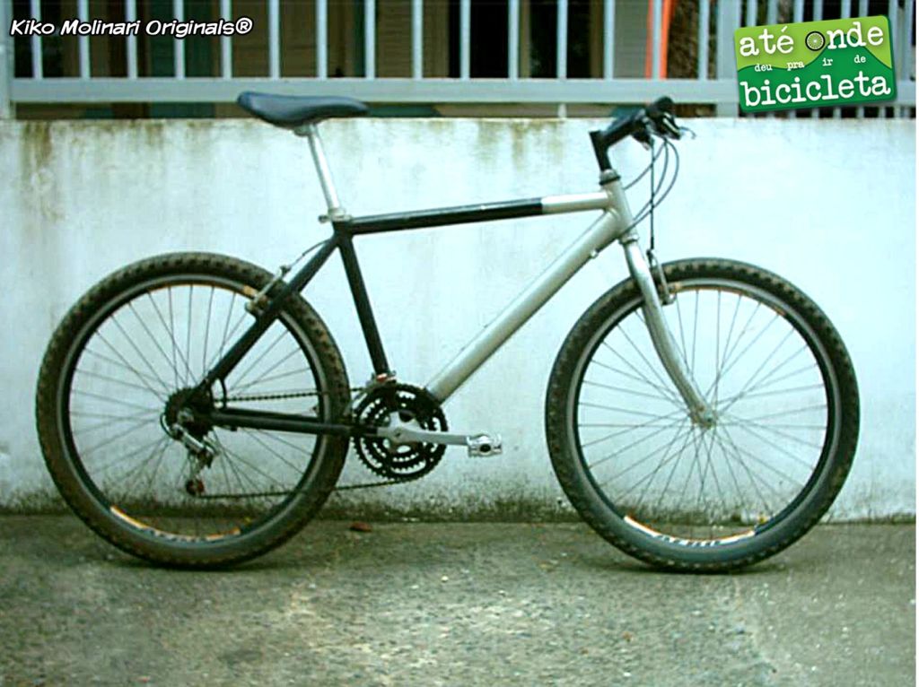 Alfameq Stroll The Camel