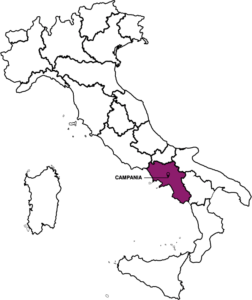 campania destaque