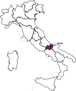 molise destaque