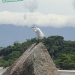 ate-onde-deu-pra-ir-de-bicicleta-paqueta-034
