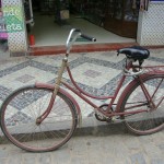 ate-onde-deu-pra-ir-de-bicicleta-paqueta-121