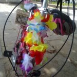 ate-onde-deu-pra-ir-de-bicicleta-blitz-carnaval