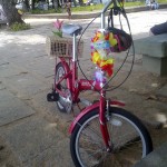 ate-onde-deu-pra-ir-de-bicicleta-cestinha-03