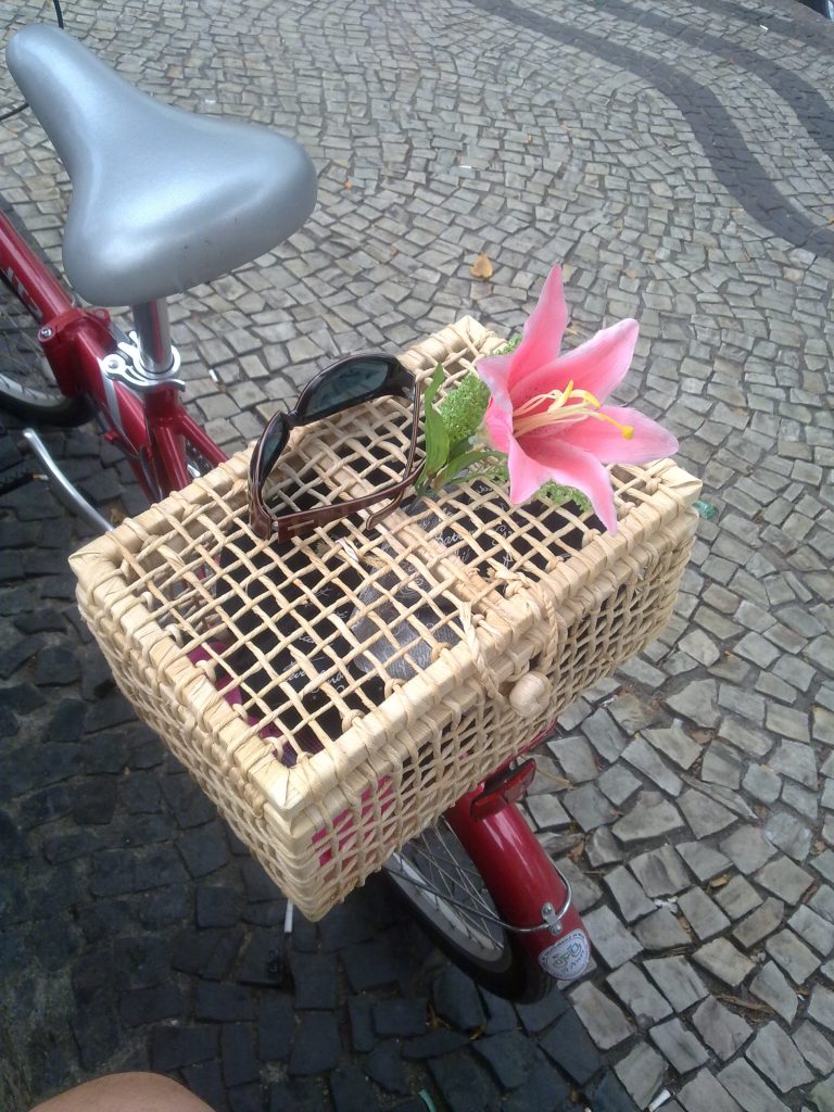 Cycle Chic: uma cestinha para bicicleta