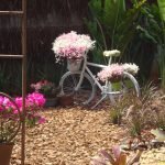 ate-onde-deu-pra-ir-de-bicicleta-holambra-2011-020