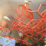 ate-onde-deu-pra-ir-de-bicicleta-holambra-2011-023