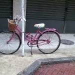 ate-onde-deu-pra-ir-de-bicicleta-caloi-ceci-cycle-chic-02