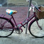 ate-onde-deu-pra-ir-de-bicicleta-caloi-ceci-cycle-chic-04