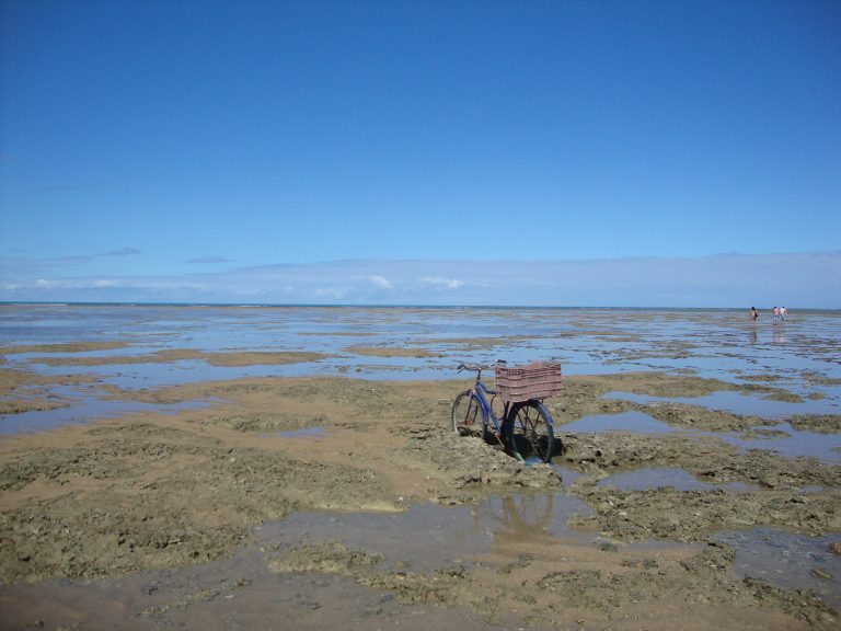 Bici Clique: bicicleta mar adentro