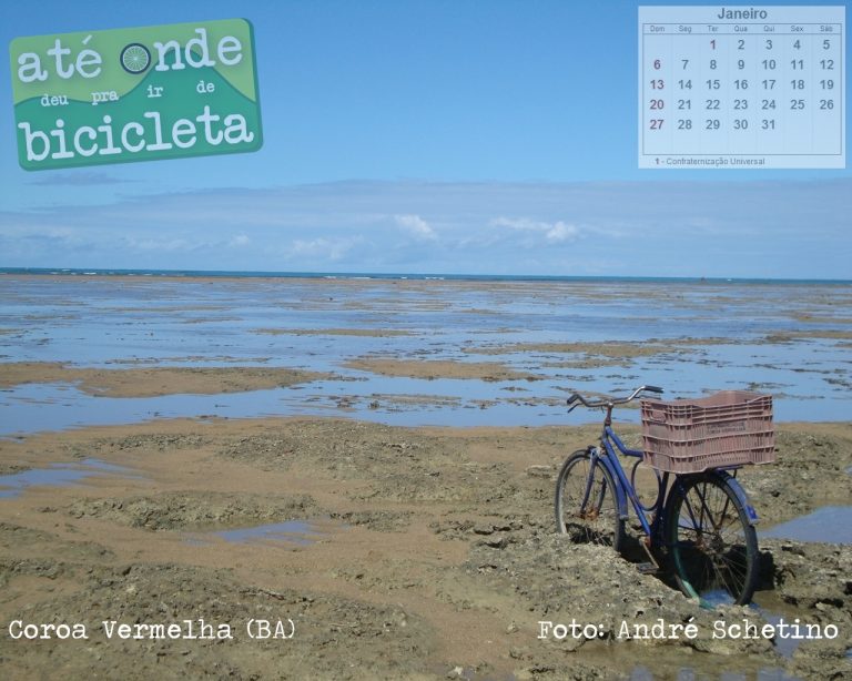 Bike Calendário 2013 para download