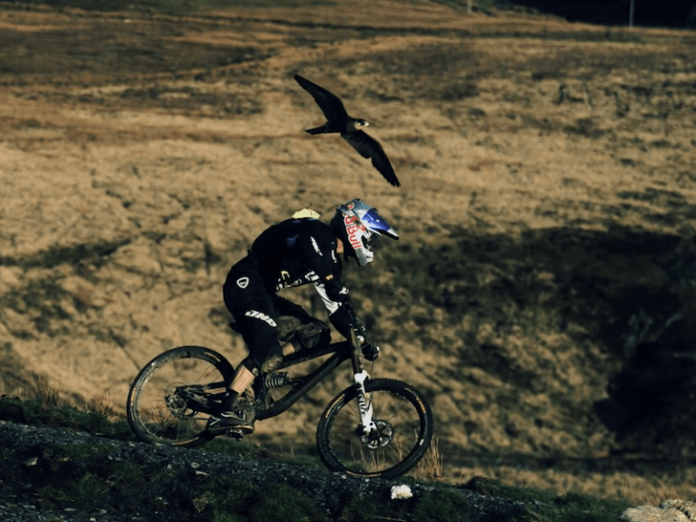 Video: Biker Gee Atherton perseguido por falcão peregrino em downhill