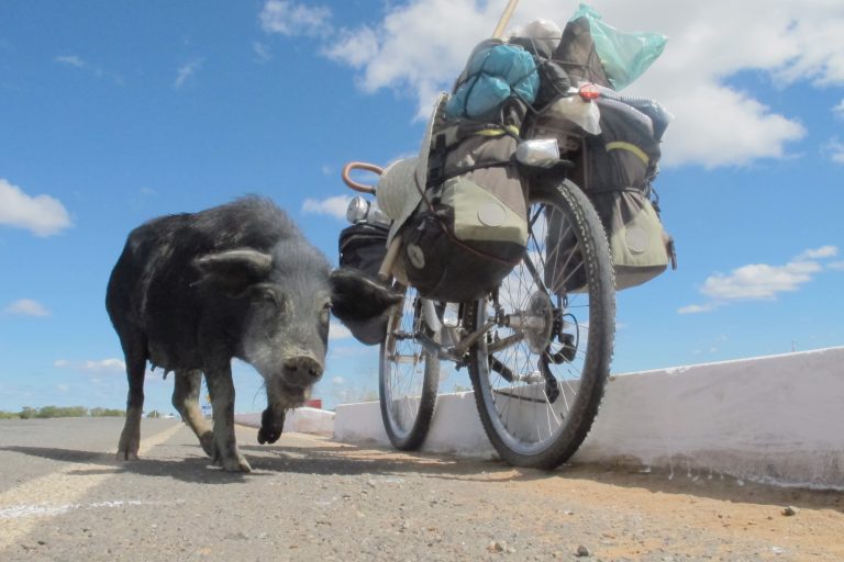 Cicloturismo Brasília – Pernambuco: 1800km de pedal