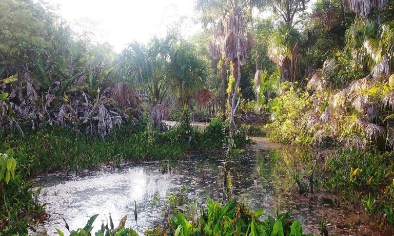 Um pedal por Alter do Chão (PA)