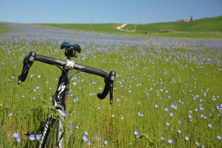 Cicloturismo na Toscana